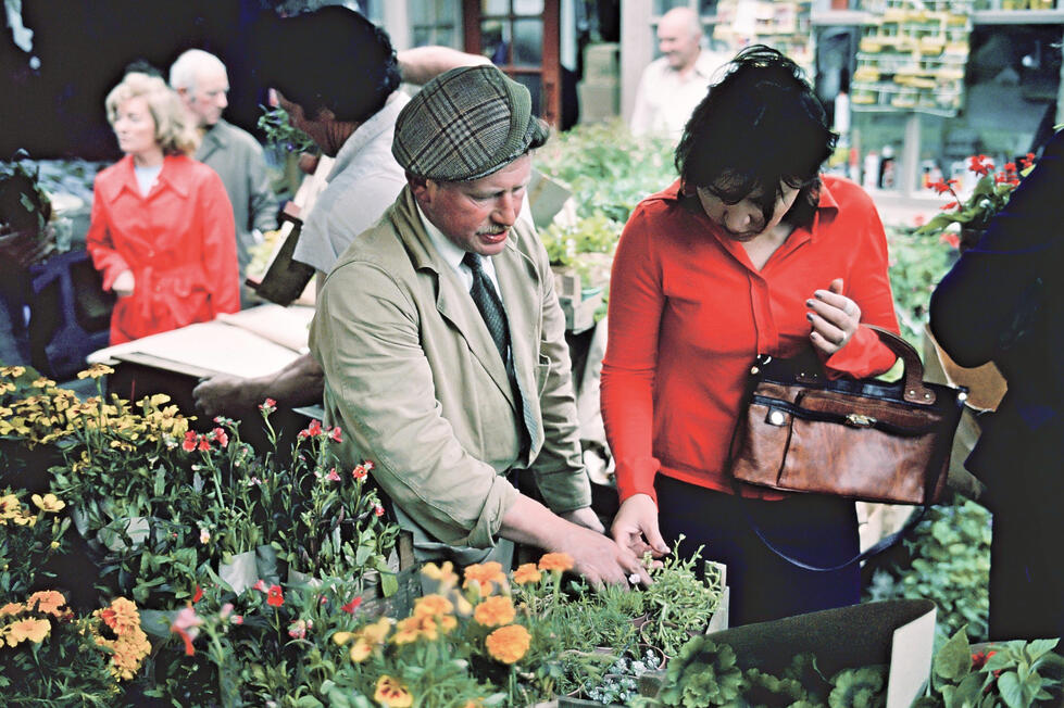 88. Keith Rigeway's Summer Stall, Stockport CollectionStockport Collection color