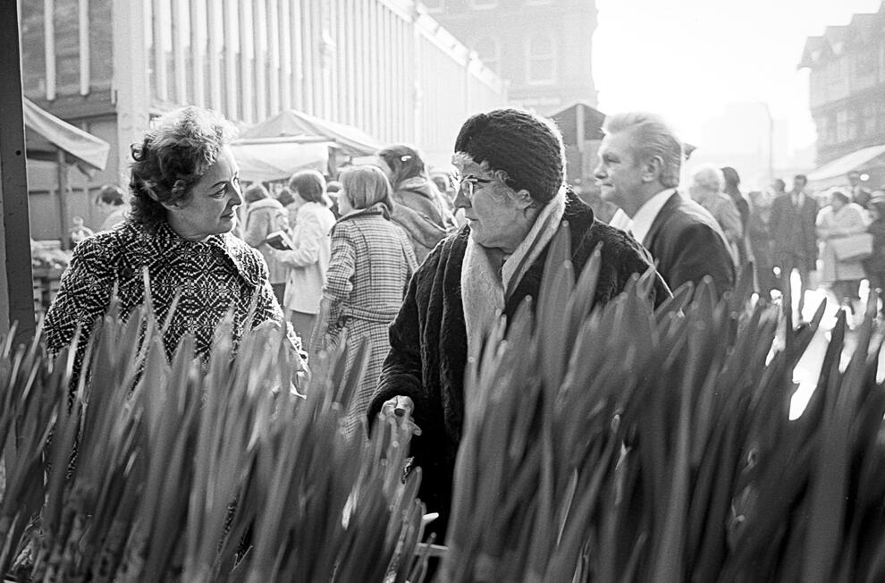 49. Spring Bulb Chat, Stockport Collection