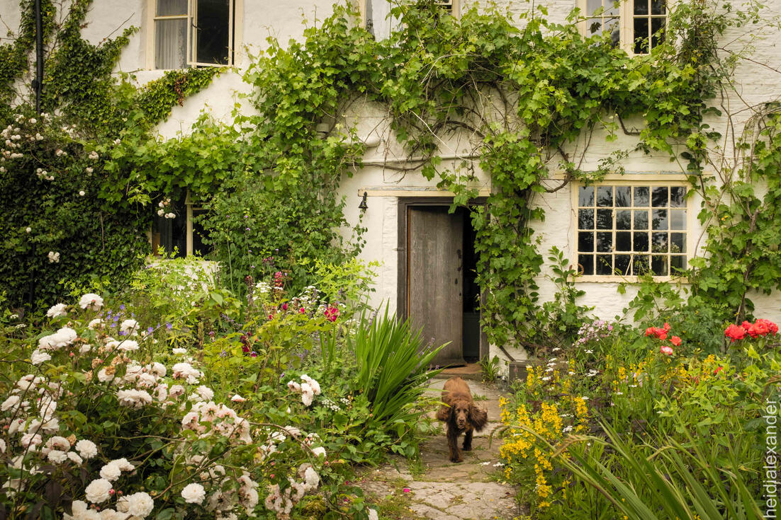 Discove Cottage, Bruton England Discove Cottage, Bruton England