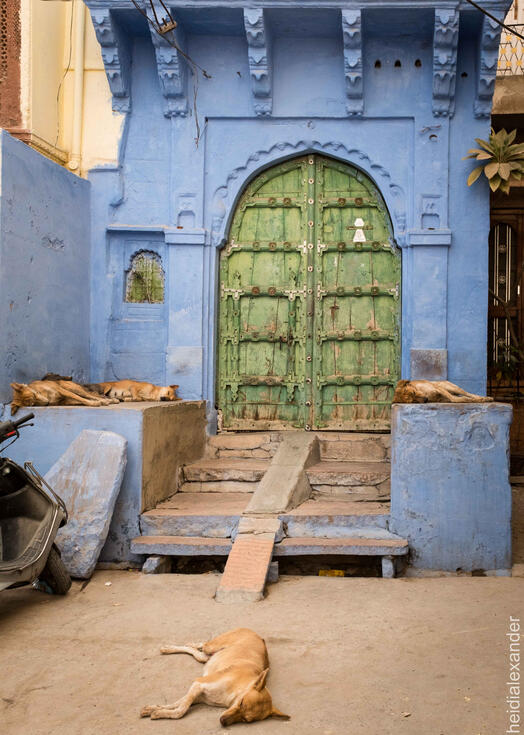 The Blue City, Jodhpur India The Blue City, Jodhpur India