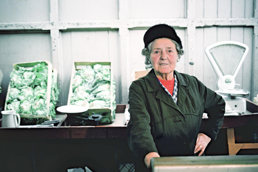 87. Jessie Clarke, Stockport Collection color